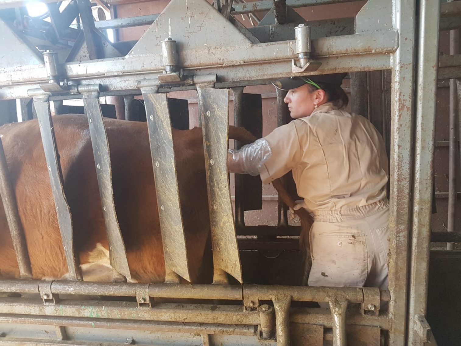 On-farm consulting